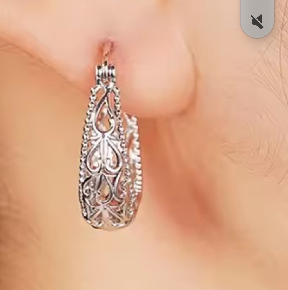 925sterling Silver Hoop Earrings - Picture 2 of 4